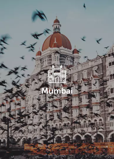 Pigeons near Gateway of India 1